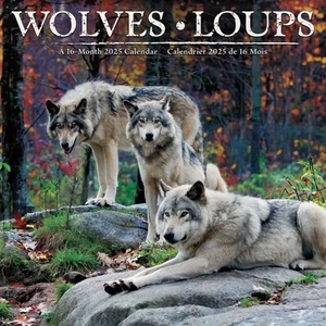 Trends International, Wolves Bilingual French and English 2025 Wall Calendar - Picture 1 of 4