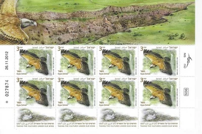 ISRAEL: AVES - BUITRES Foto 1 de 2