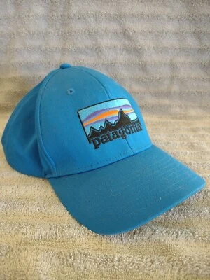 PATAGONIA 蓝色平沿帽山男式帽子快速发货可调节 ⛰️ — 第 1/4 张图片