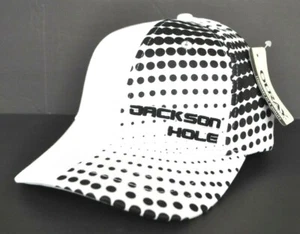 *JACKSON HOLE WYOMING* Ski Snowboard FITTED Stretch fit TEK FLEX Ball cap hat - Picture 1 of 3