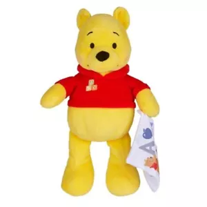 Disney Baby Winnie The Pooh - Cuddle Plush - Picture 1 of 6