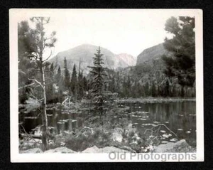 SCHÖNE BERGWALDSZENE BÄRENSEEHÜTTE 1949 ALTES/VINTAGE FOTO - C655 - Bild 1 von 1
