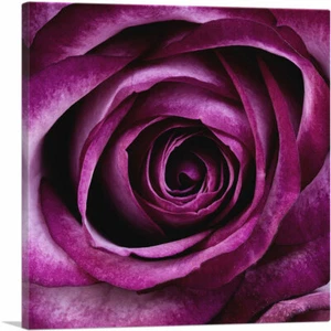 ARTCANVAS Rose Flower Home Decor Square Canvas Art Print - Picture 1 of 11
