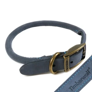BLUE ROLLED LEATHER DOG COLLAR 35cm - 43cm Suede Long Haired Pets Small Neck UK - Picture 1 of 3
