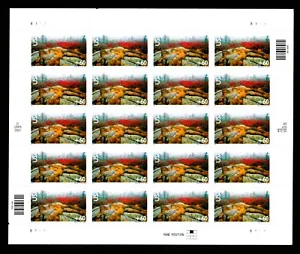 #C138b MNH, SCENIC AMERICAN LANDSCAPES-ACADIA NATIONAL PARK Sheet FV$12.00(2005) - Picture 1 of 2