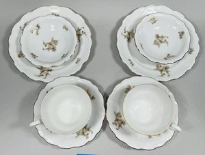 Johann Haviland Brunch Agrupación de Té Rosa Sepia Baviera Alemania China Fina LEER - Imagen 1 de 14