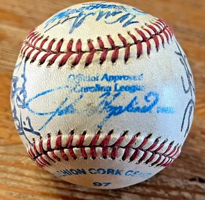 Carolina League Baseball Autographed Hagerstown Suns Team Ball VTG 1986 1987 - Picture 1 of 13