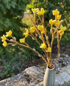 Gry Sif: große Zweige Filz Beeren/Blättern/Baumwolle/Apfelblüten/Forsythie - Bild 1 von 17