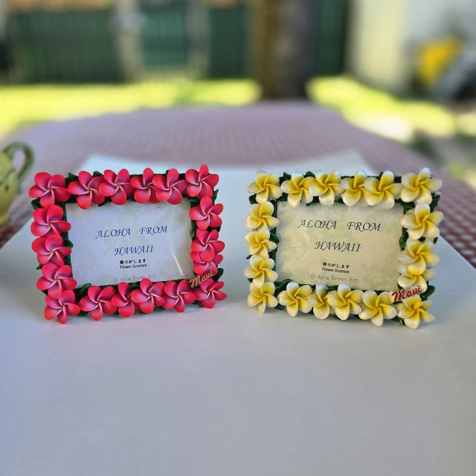 Marco de fotos perfumado con flores Aloha de Hawaii (x2) hibisco rojo y amarillo 6,5 x 5,25 Foto 1 de 4