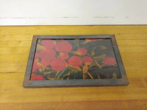 Isack Kounsky ohne Titel "rote Blumen" Farbfoto Kunst mit Stahlrahmen 11" x 17"  - Bild 1 von 6