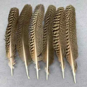 50 pezzi rare piume coda di pavone nido di fagiano ala 8-16 pollici / 20-40 cm per fai da te - Foto 1 di 8