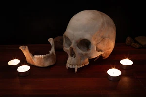 Calavera de vampiro - tamaño natural - súper detallada - ¡Entrega GRATUITA en todo el mundo! - Imagen 1 de 5