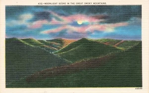 Moonlight Scene in the Great Smoky Mountains TN Vintage Linen PC - Picture 1 of 2