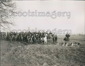 1931 Hunters Horses Hounds Pytchley Meet 1930s England Press Photo - Picture 1 of 2