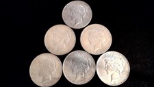 Lot of (6) Circulated Peace Dollars 90% Silver  A7
