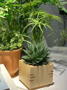 Flower pots for plants with saucer - Succulent wood planter with drainage hole - Picture 1 of 8