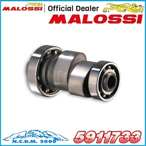 Camshaft Power Cam Malossi Piaggio X9 250 4T LC (Honda) - Picture 1 of 4