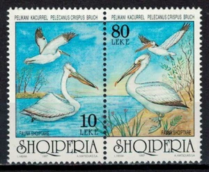 Albanien 1997 _ Fauna - Pelikane _MNH ** - Bild 1 von 1