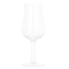 Premium Wine Glasses - Elegant Glass Tumblers for Wine