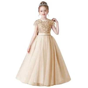 2024 Sparkling sequin short sleeved girl's dress sheer party dress - Picture 1 of 30