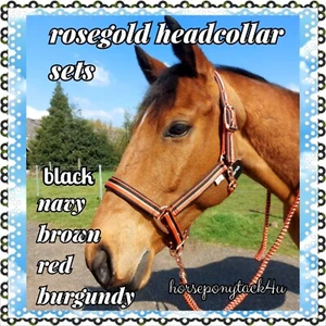 DELUXE ROSE GOLD HEADCOLLARS AND LEADROPE SET PONY ,COB,FULL 4 COLOURS - Picture 1 of 13