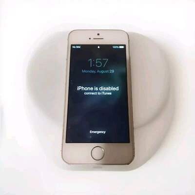 Apple iPhone 5s - 16GB - White/ Silver A1533 (GSM)"As/Is"PLEASE READ" - Image 1 of 4