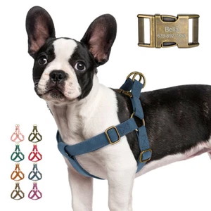 Personalisiert Hundegeschirr Brustgeschirr Step In Gurtbandgeschirr mit Namen SM - Picture 1 of 22