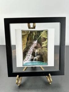 Jim Goldberg Magnum 6" x 6" impresión cuadrada This Should Be Paradise” 2013 Bleu Haiti - Imagen 1 de 4