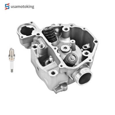 Cylinder Head Valves Kit For Honda Rancher 420 TRX420 FE FM TE FA 2009 2015-2024 Foto 1 de 4