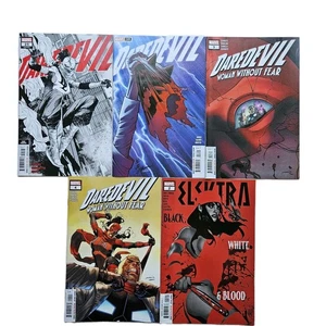Lot Of 5 DAREDEVIL Comic Books #14 #25 Woman Without Fear #3 & #4 ELEKTRA #2 NEW - Picture 1 of 4