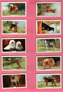 Gallaher: Dogs Second Series 1938 Full Set 48 Cigarette Cards - Picture 1 of 10