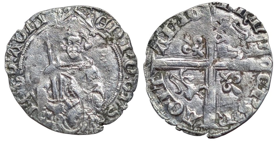 Aquitaine - Hardi Prince Noir - La Rochelle - Photo 1/1