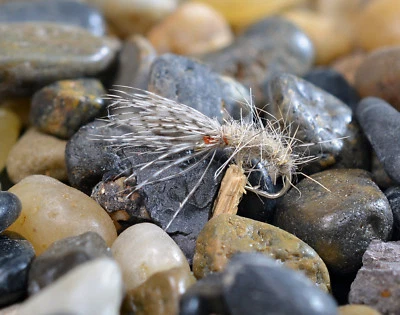 REGION FISHING 6ct Tenkara Flies - Hares Ear Kebari pattern #12