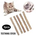 Pasta do zębów dla kota trzonowa naturalna kocimiętka do czyszczenia zębów przekąska✨w Silvervine W1G2