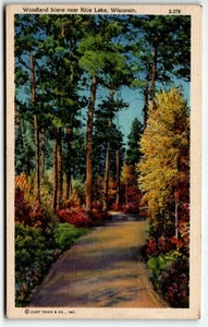 Postal escena del bosque cerca de Rice Lake Wisconsin WI UNP lino - Imagen 1 de 2