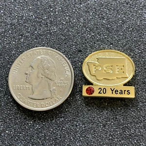 Pinback PSE para empleados de escuelas públicas 20 años de servicio premio estado de Washington - Imagen 1 de 2