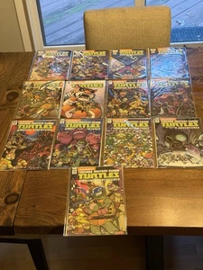 Teenage Mutant Ninja Turtles Amazing Adventures #1-13 IDW Comics Nickelodeon - Picture 1 of 6