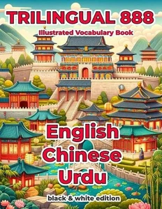 Trilingual 888 English Chinese Urdu Illustrated Vocabulary Book: Help your child - Picture 1 of 1