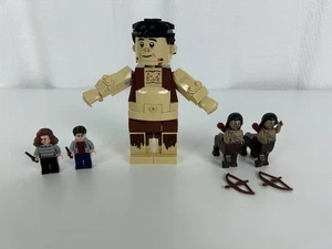 Lego Harry Potter Forbidden Forest Grawp Giant Mini Figs Centaur Hermione Toys - Picture 1 of 5