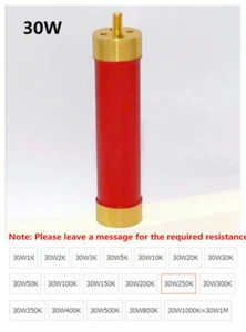 1pcs RI80 30W 30KV Non-inductive Glass Glaze Film High Voltage Resistor 1K-100K - Picture 1 of 8