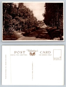 Staffordshire - Cannock Chase - RPPC - Picture 1 of 1