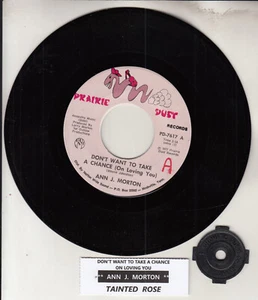 ANN J. MORTON Don't want to take a chance (On loving you) 7" 45 record NEW RARE! - Picture 1 of 1