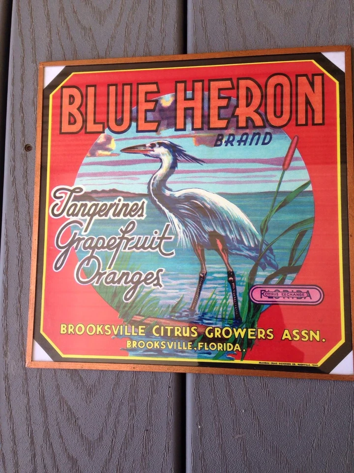 Blue Heron Tangerines Oranges Brooksville Citrus Growers Print Reproduction - Image 1 of 4