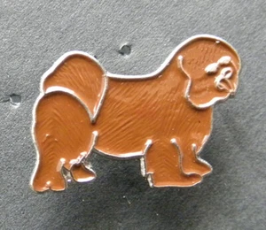 LHASA APSO DOG LAPEL PIN BADGE 3/4 INCH - Picture 1 of 1