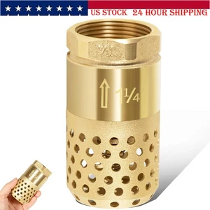 Foot Valve for Well Pump, 1-1/4" Female NPT Check Valve, Strainer w/ 0.18" Filte - Picture 1 of 13