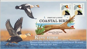 SC 4992, 2015, Coastal Birds, King Eider, FDC, DCP, 15-167 - Picture 1 of 1