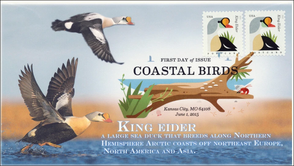 SC 4992, 2015, Coastal Birds, King Eider, FDC, DCP, 15-167 - Image 1 of 1