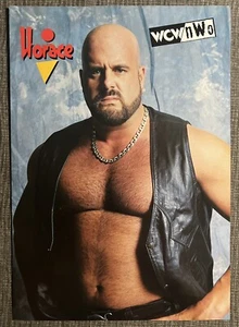 HORACE HOGAN Wrestling Magazine page Pinup wcw WWF wwe - Picture 1 of 2
