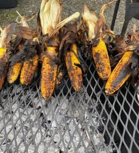 Corn Roaster Combo Grill BBQ Smoker Trailer Mobile Kitchen Food Truck Business - Picture 1 of 15