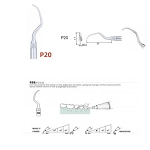 Dental Ultrasonic Scaler P20 Scaling Endo Perio Tips Fit For EMS/Woodpecker - Picture 1 of 4